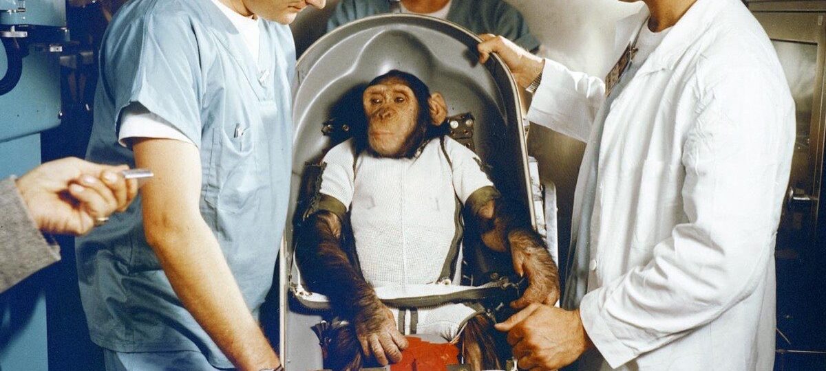 Ham the Chimp Goes to Space