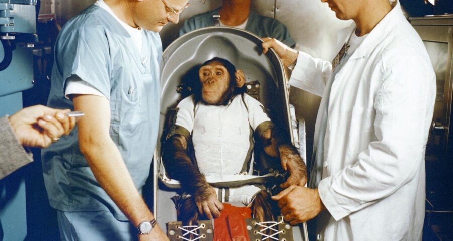 Ham the Chimp Goes to Space