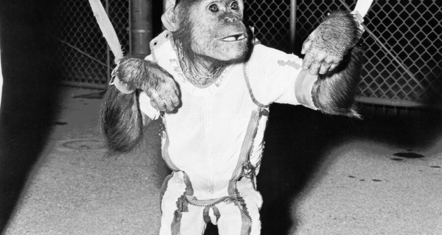 Enos the Chimp Orbits