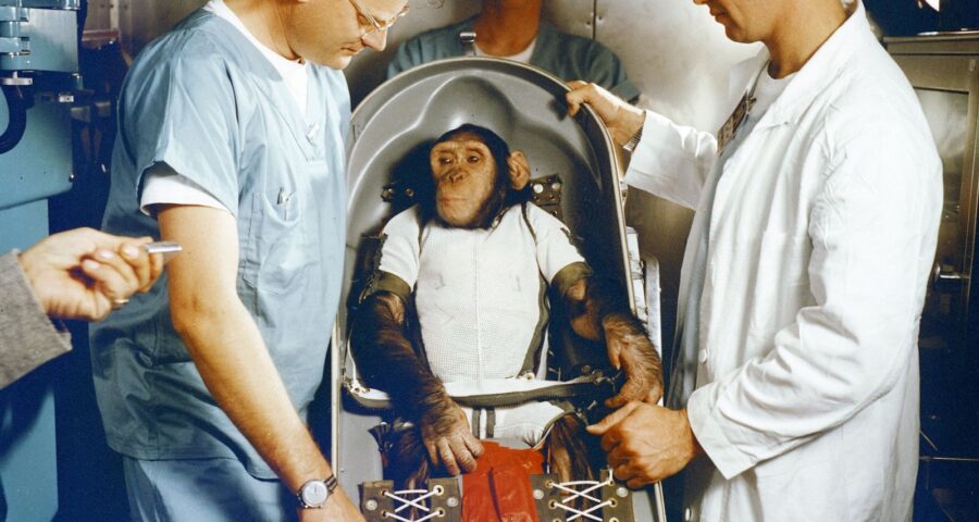 Ham the Chimp Goes to Space
